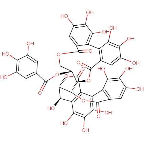 PNG