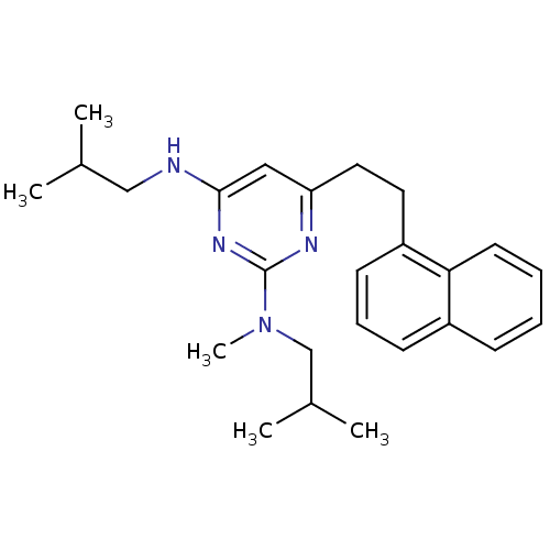 PNG