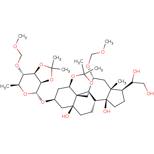 PNG