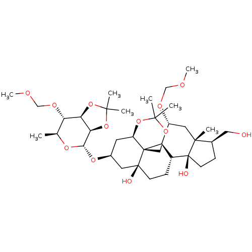 PNG