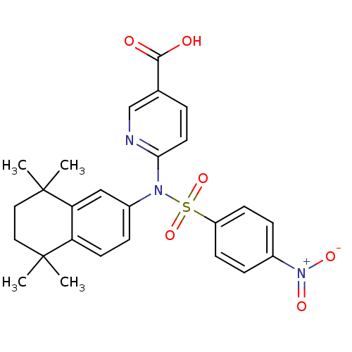 PNG