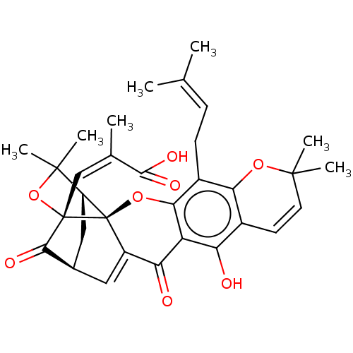 PNG