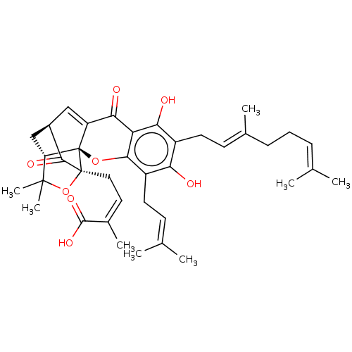 PNG