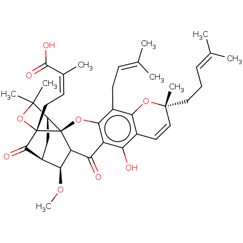 PNG