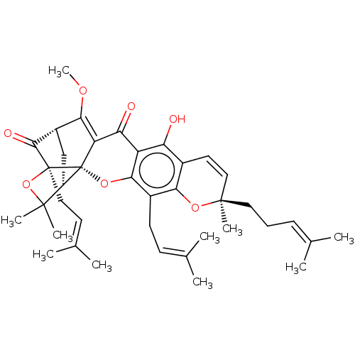 PNG