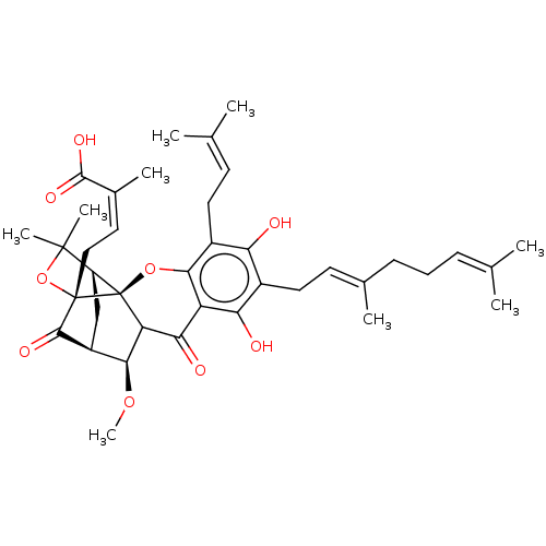 PNG