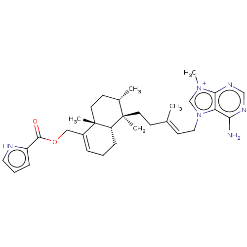 PNG