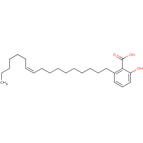 PNG