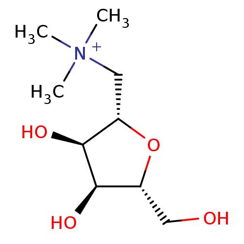 PNG