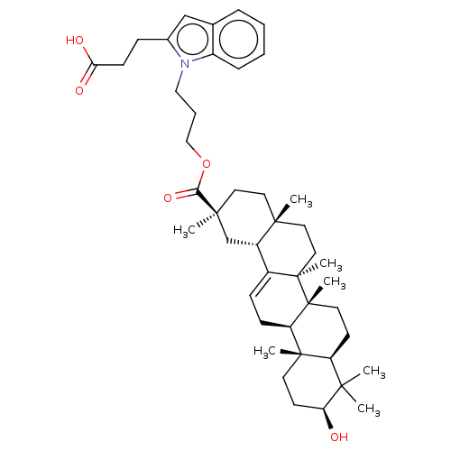 PNG