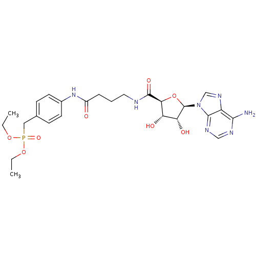 PNG