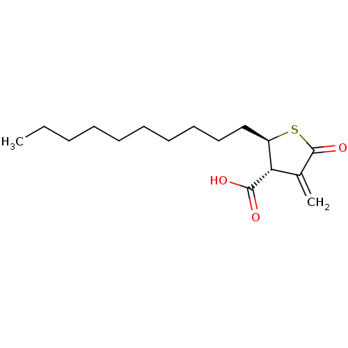 PNG