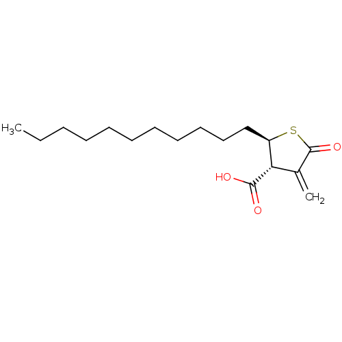 PNG