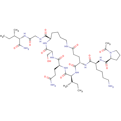 PNG