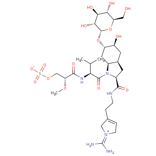 PNG