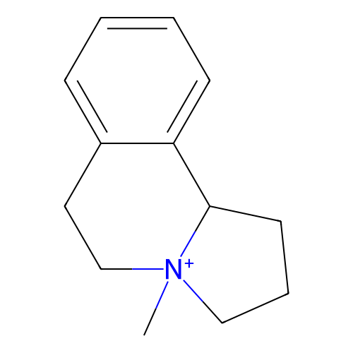 PNG