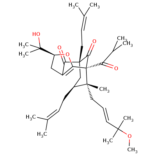 PNG