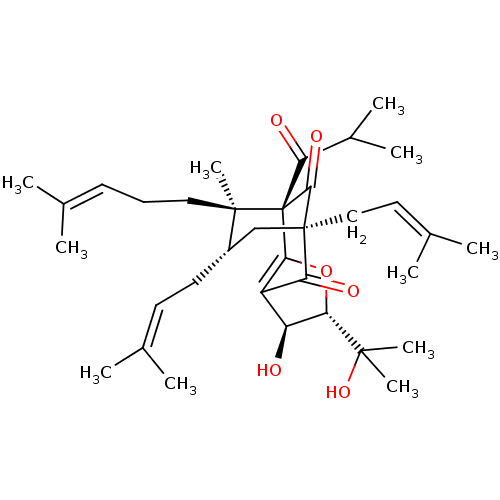 PNG