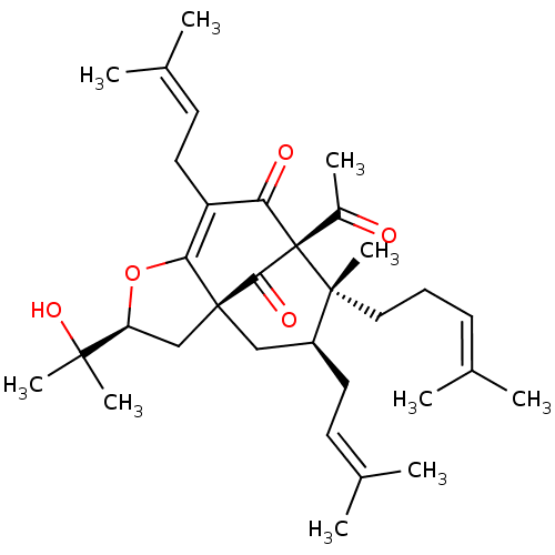 PNG