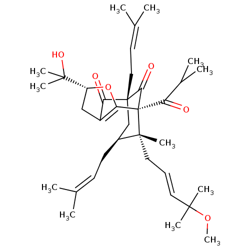 PNG
