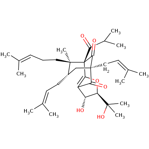PNG