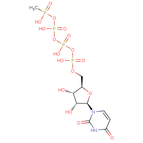 PNG