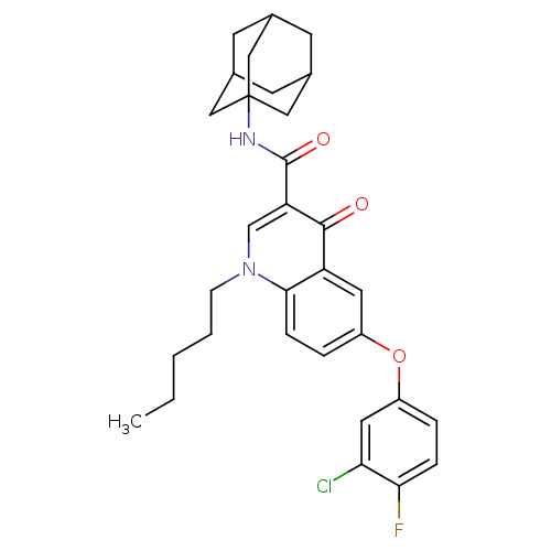 PNG
