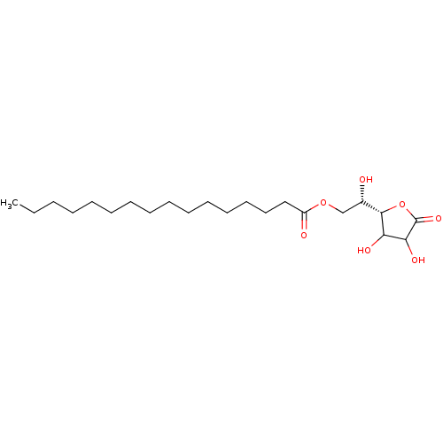 PNG