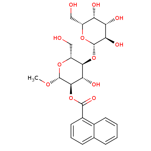 PNG