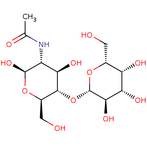 PNG