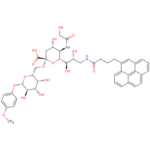 PNG