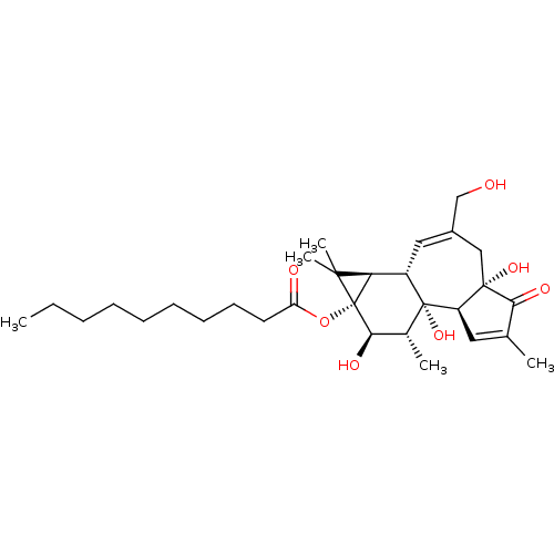 PNG
