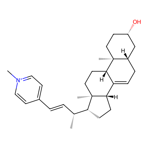 PNG