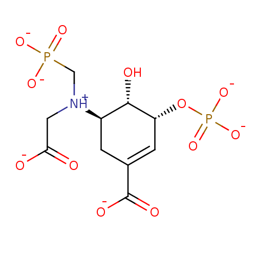 PNG