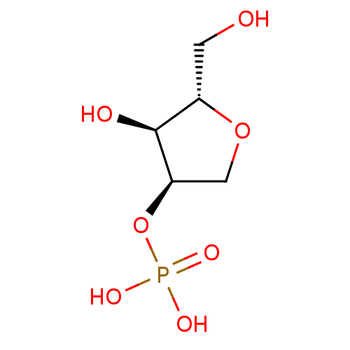 PNG