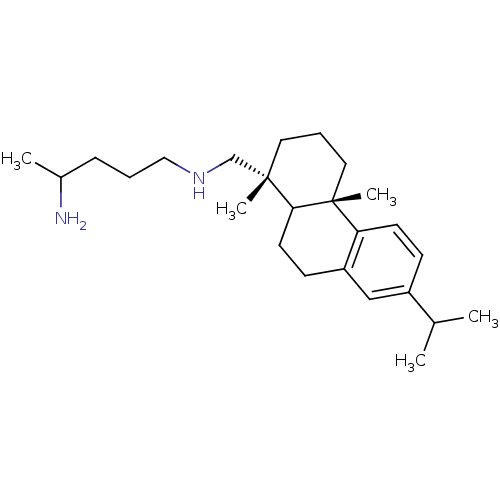 PNG