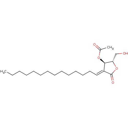 PNG