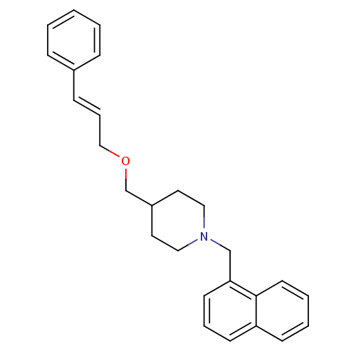 PNG