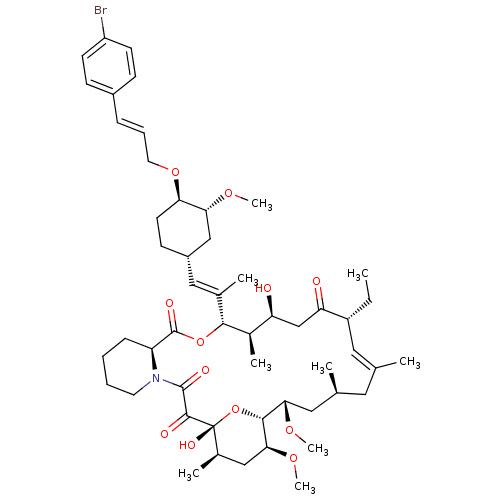 PNG