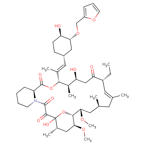 PNG