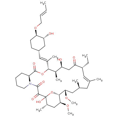 PNG