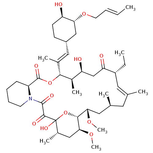 PNG