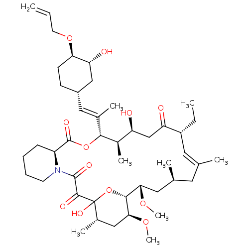 PNG