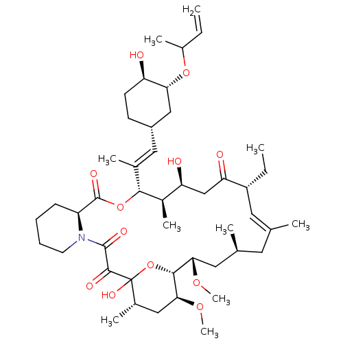 PNG