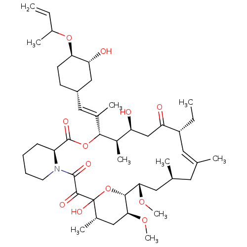 PNG