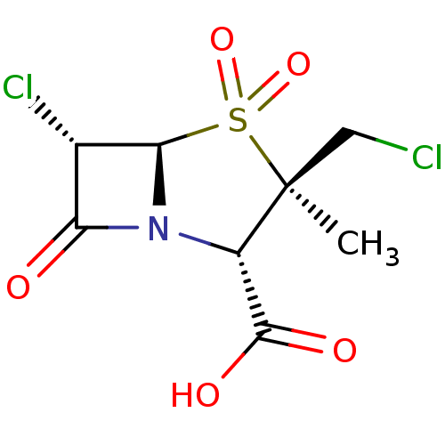 PNG