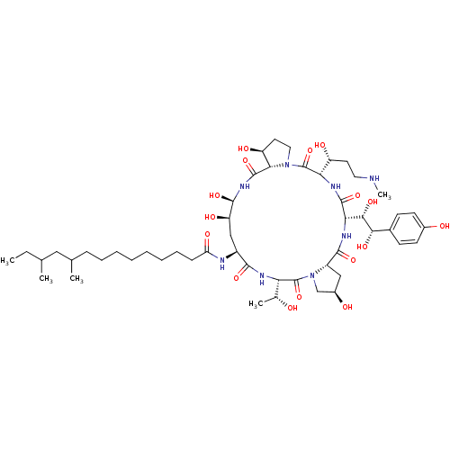 PNG