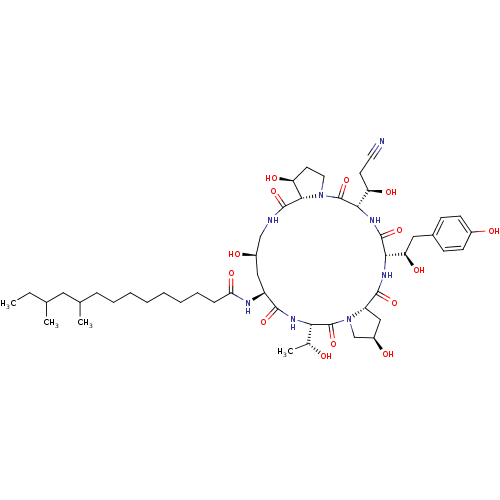 PNG