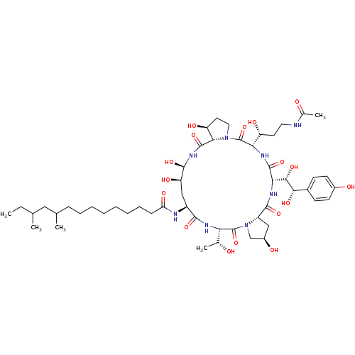 PNG