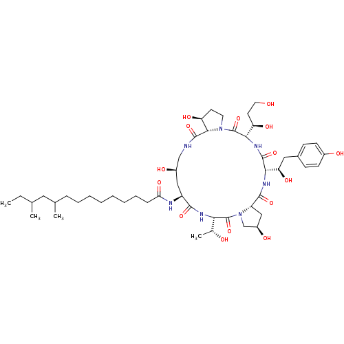 PNG